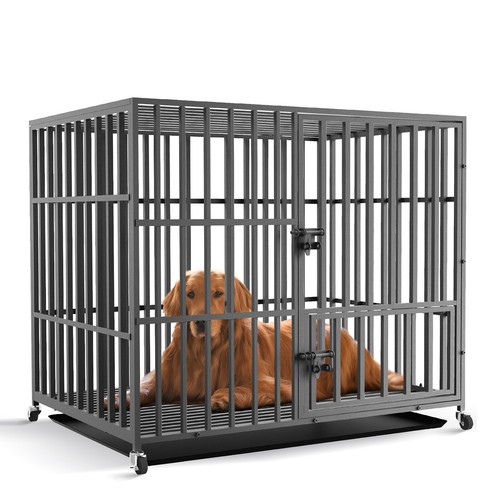 Bingopaw heavy duty - heavy, dog