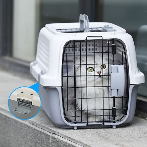 Xlarge dog cat - dog/, box